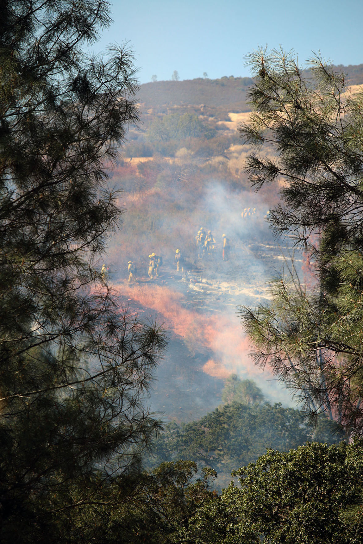 20-acre Fire in Del Puerto Canyon